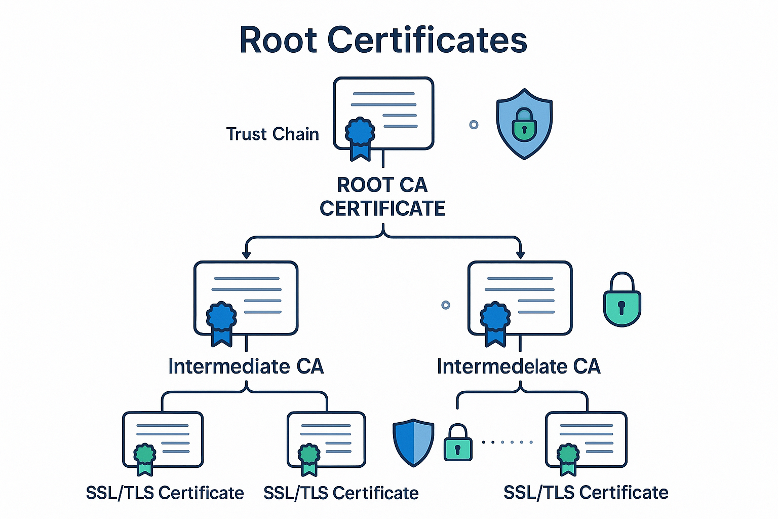 Trusted Root About Root Certificates in SSL / TLS – Trustico® Online Security